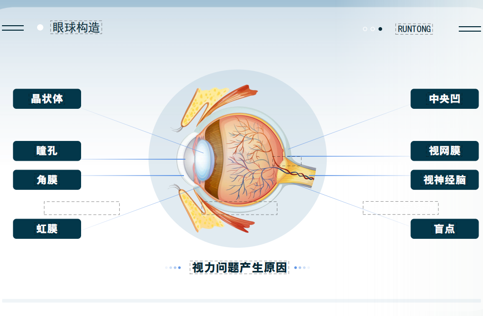视力鹰瞳童视力镜